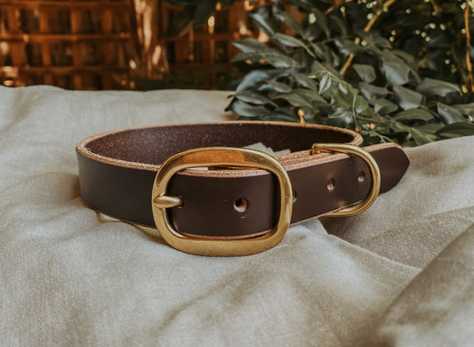 Sandy Dog Collar