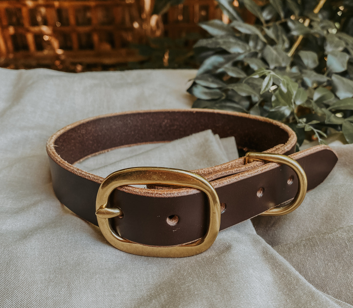 Sandy Dog Collar